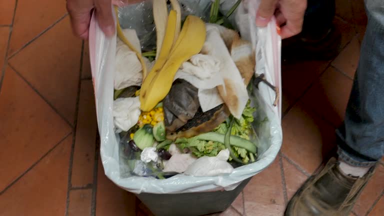 Best Carpet Removal and Disposal  in White Haven, PA